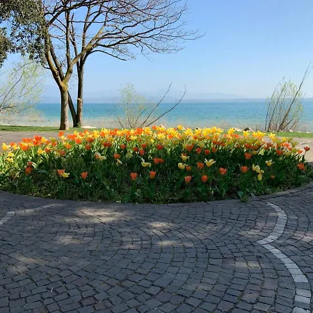 Albatros Appartement *